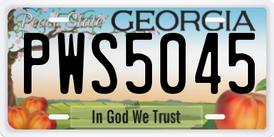 GA license plate PWS5045
