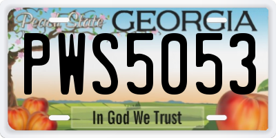 GA license plate PWS5053