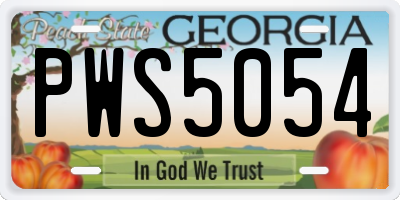GA license plate PWS5054
