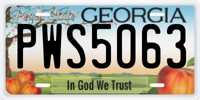 GA license plate PWS5063