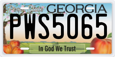 GA license plate PWS5065