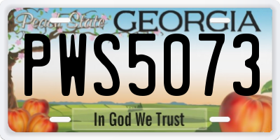 GA license plate PWS5073