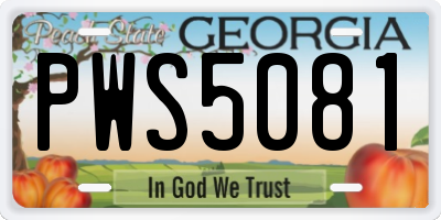 GA license plate PWS5081