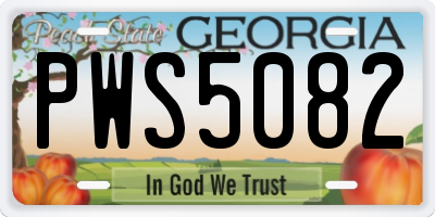 GA license plate PWS5082