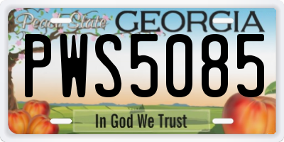 GA license plate PWS5085