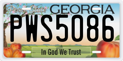 GA license plate PWS5086