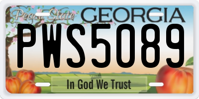 GA license plate PWS5089