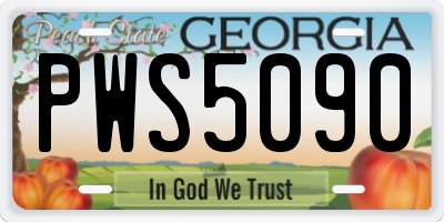 GA license plate PWS5090
