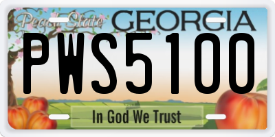 GA license plate PWS5100