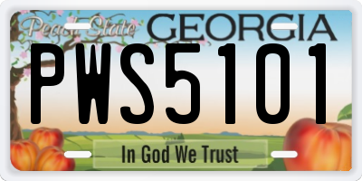 GA license plate PWS5101