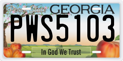GA license plate PWS5103