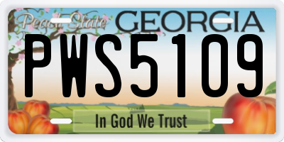 GA license plate PWS5109