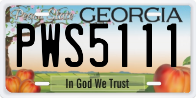 GA license plate PWS5111