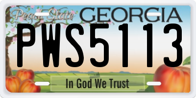 GA license plate PWS5113