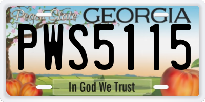 GA license plate PWS5115