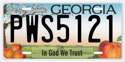GA license plate PWS5121