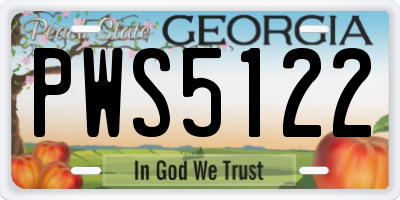 GA license plate PWS5122