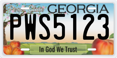 GA license plate PWS5123