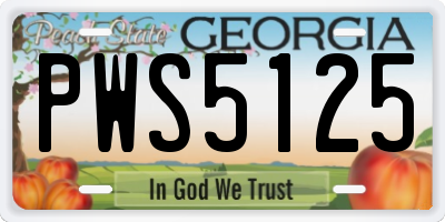 GA license plate PWS5125