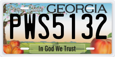 GA license plate PWS5132