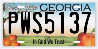 GA license plate PWS5137
