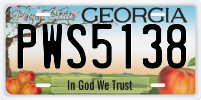 GA license plate PWS5138