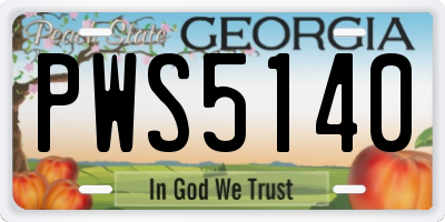 GA license plate PWS5140