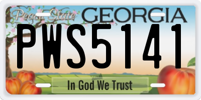 GA license plate PWS5141
