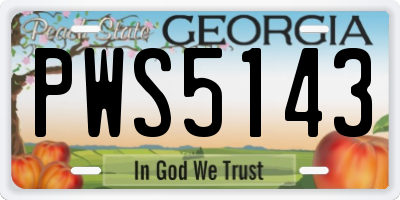 GA license plate PWS5143