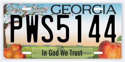 GA license plate PWS5144