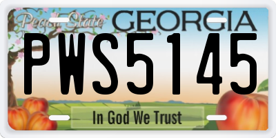 GA license plate PWS5145