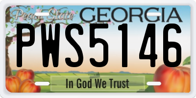 GA license plate PWS5146