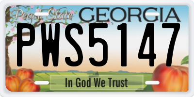 GA license plate PWS5147