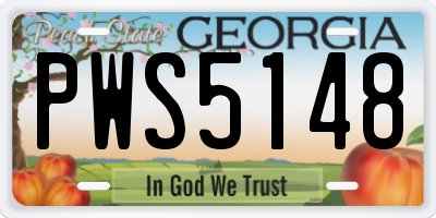 GA license plate PWS5148