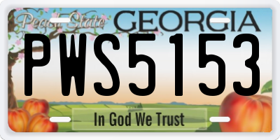 GA license plate PWS5153