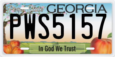 GA license plate PWS5157