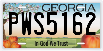 GA license plate PWS5162