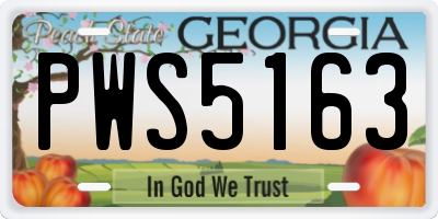 GA license plate PWS5163