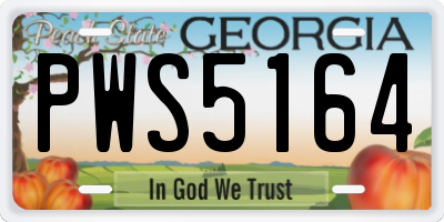 GA license plate PWS5164