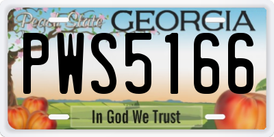 GA license plate PWS5166