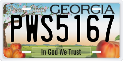 GA license plate PWS5167