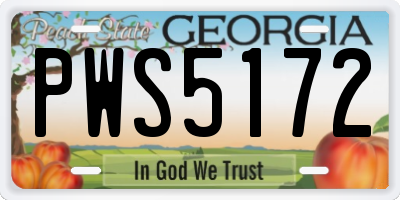 GA license plate PWS5172