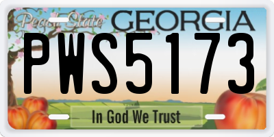 GA license plate PWS5173