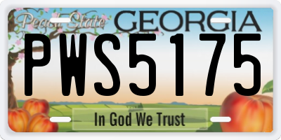GA license plate PWS5175
