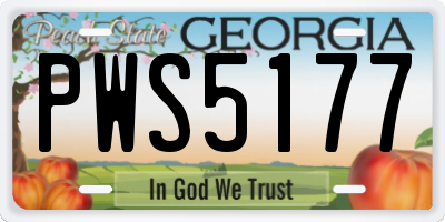 GA license plate PWS5177