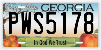 GA license plate PWS5178