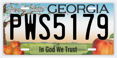 GA license plate PWS5179