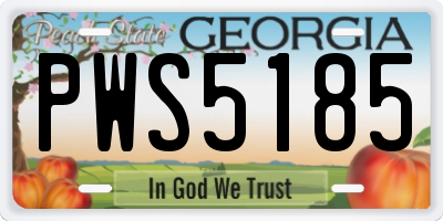 GA license plate PWS5185