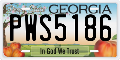 GA license plate PWS5186