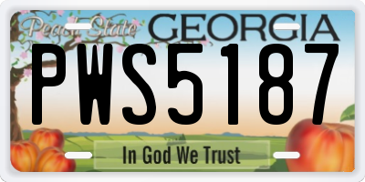 GA license plate PWS5187